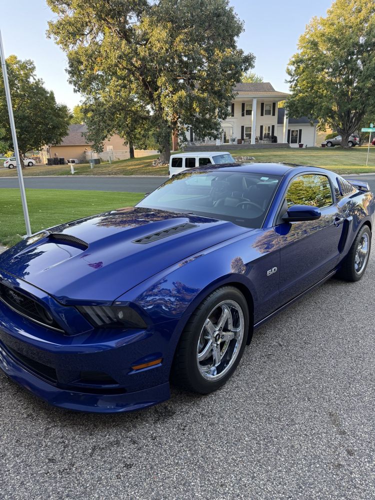 Blue Shelby Mustang after a full detail